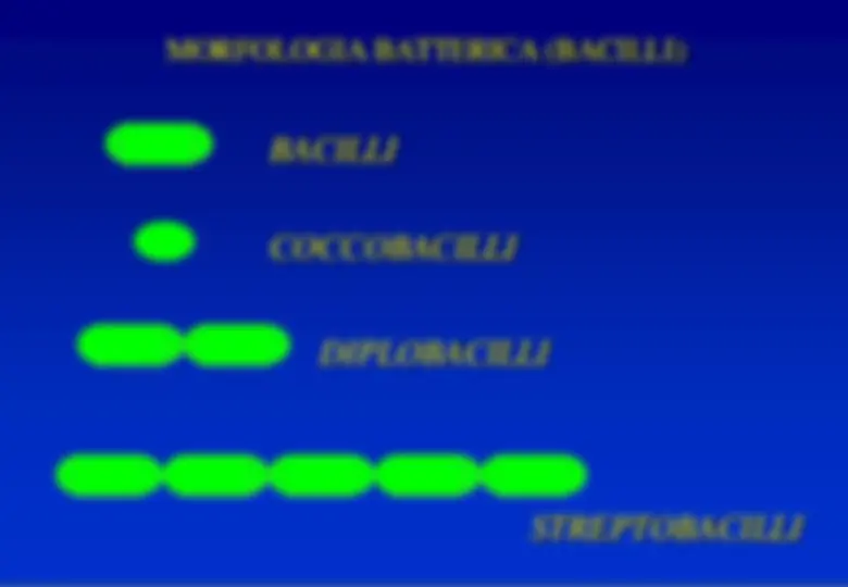 pf48
