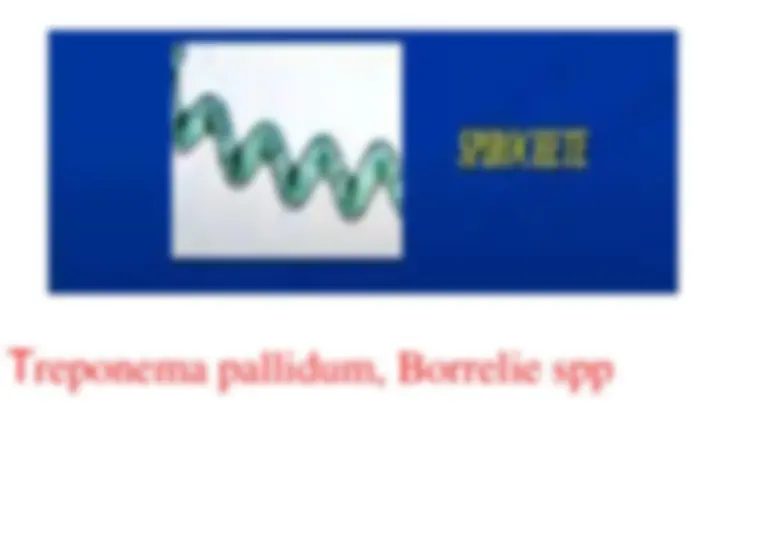 pf4c