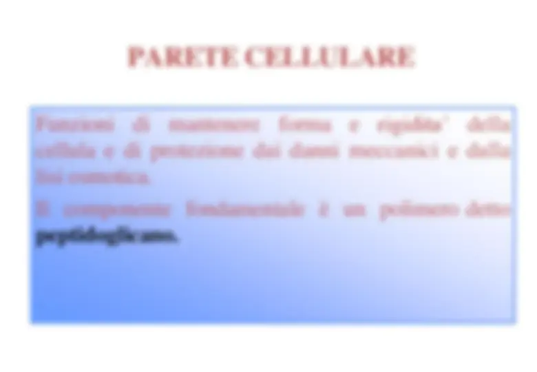 pf1b