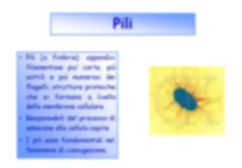 pf40