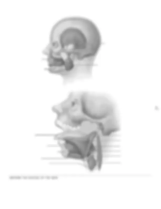 pf4