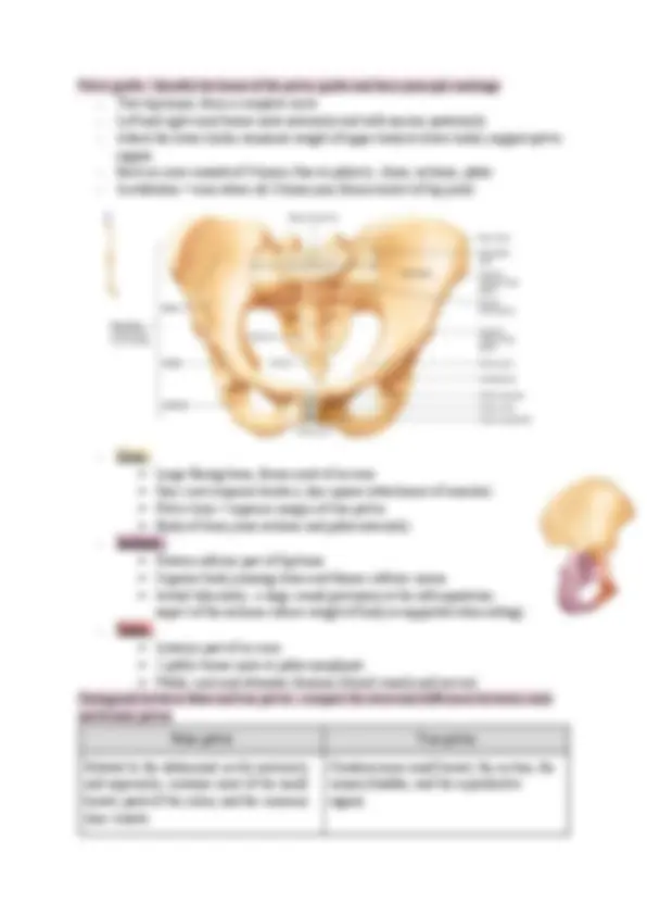 pf21