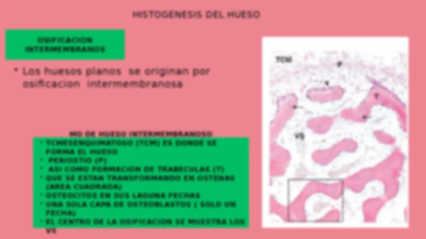 pf15