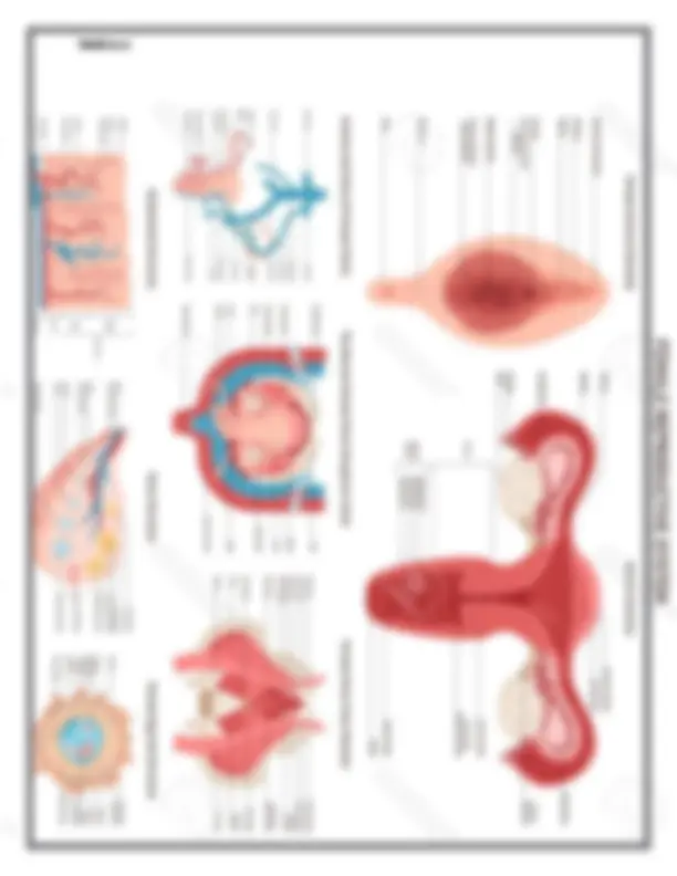 pf19
