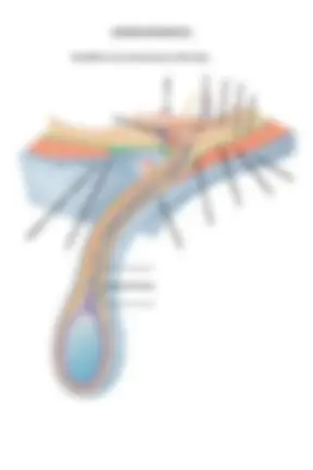 pf5