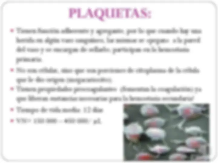 pf16