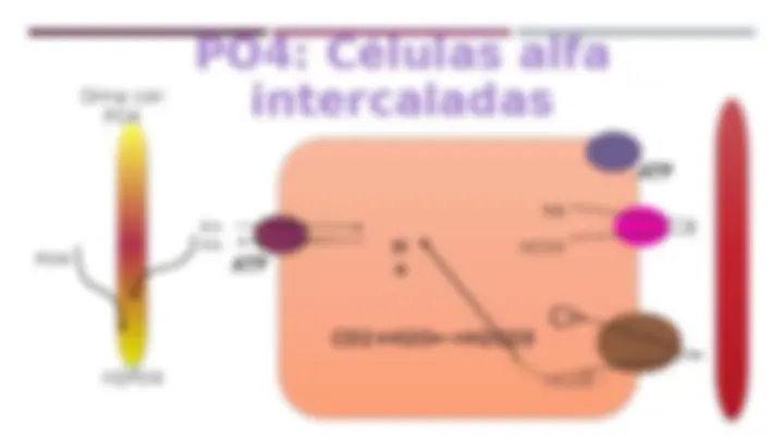 pf2a