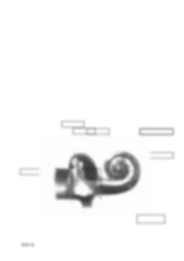 pf12