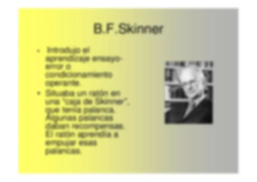 pf26
