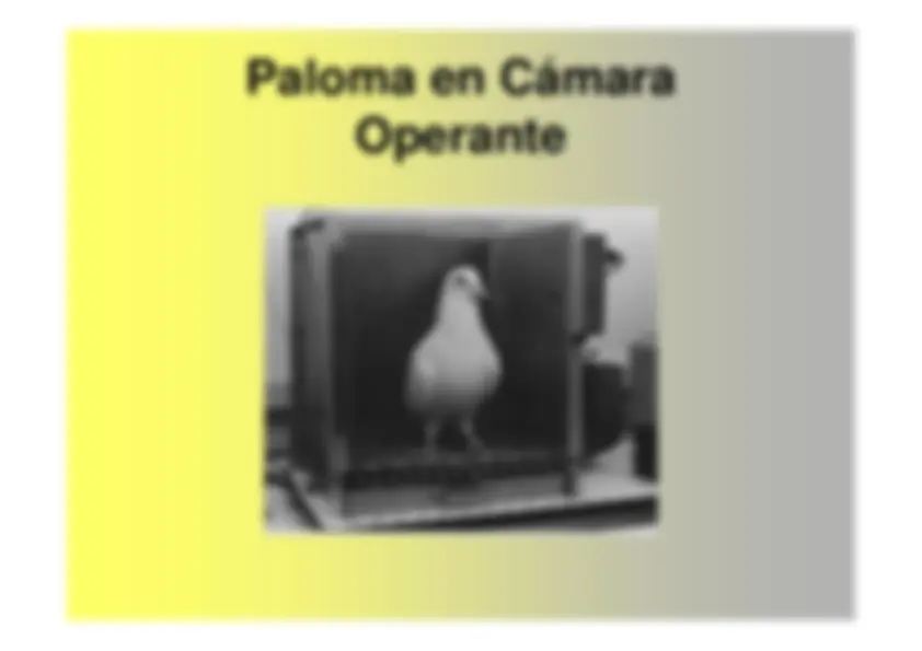pf2a