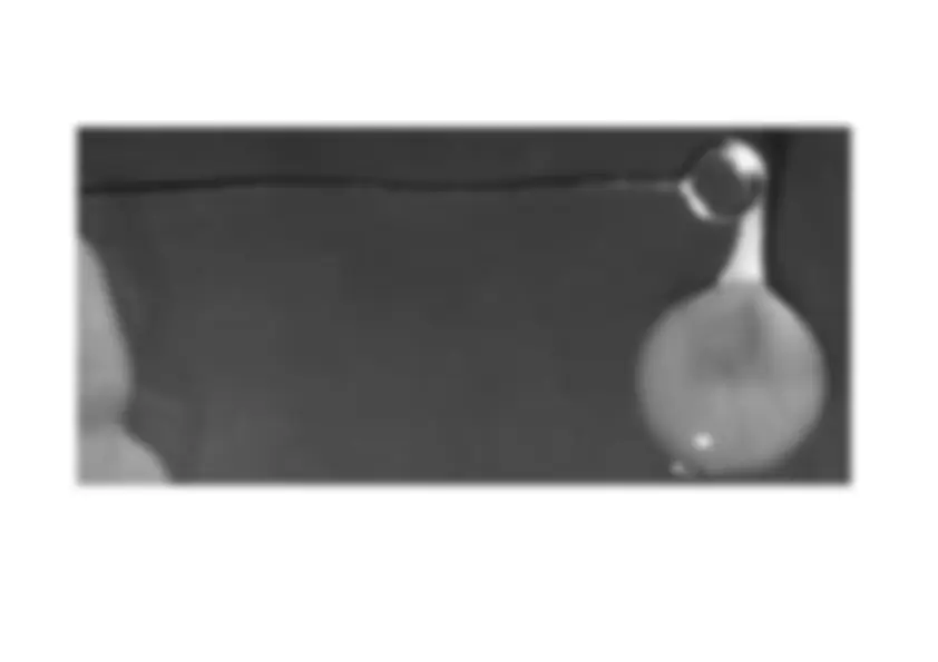 pf26