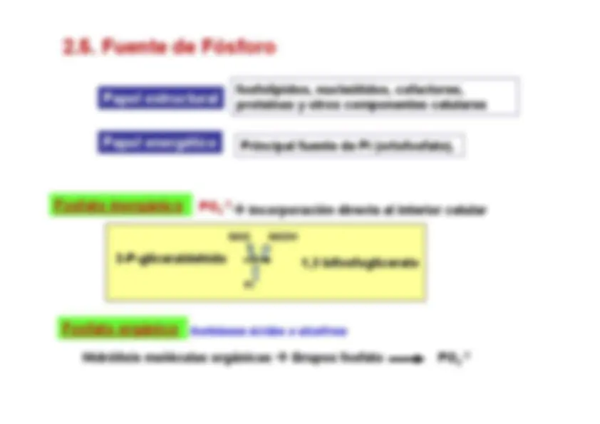 pf12