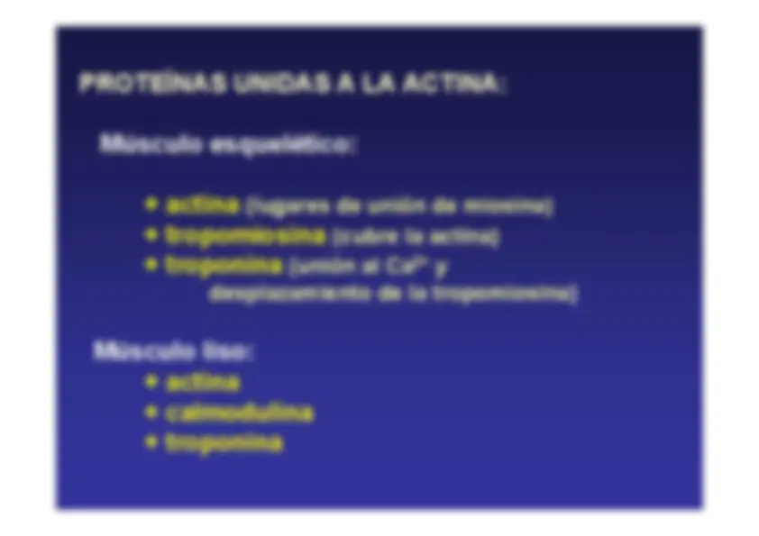 pf1b