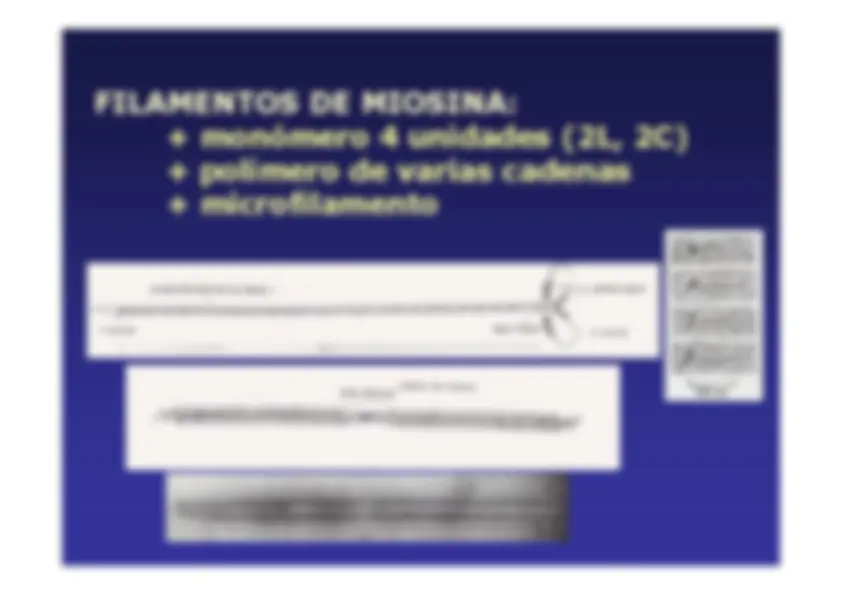 pf13
