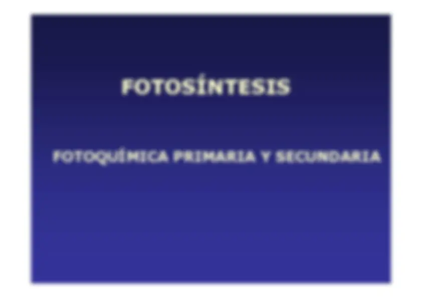 pf3