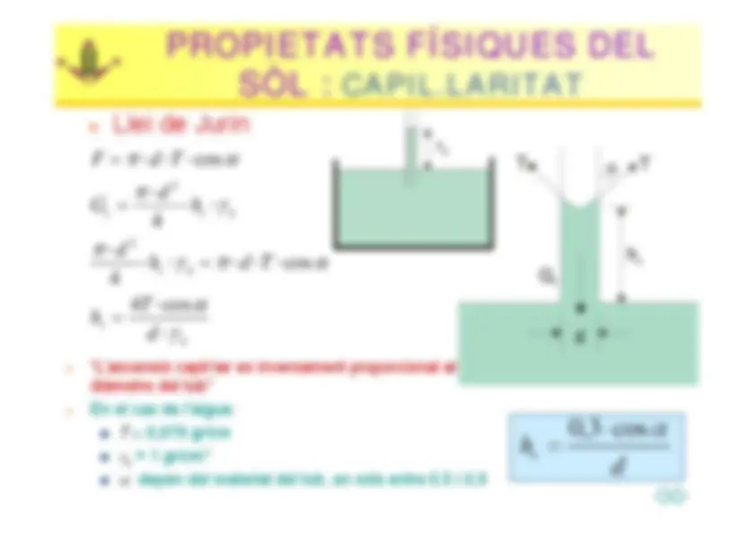 pf25