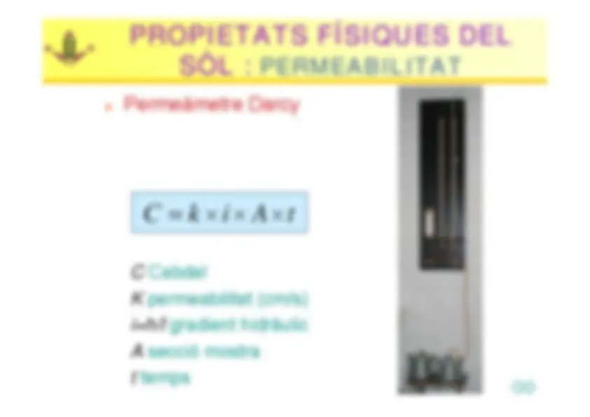 pf22