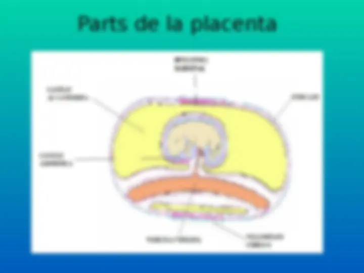 pfa