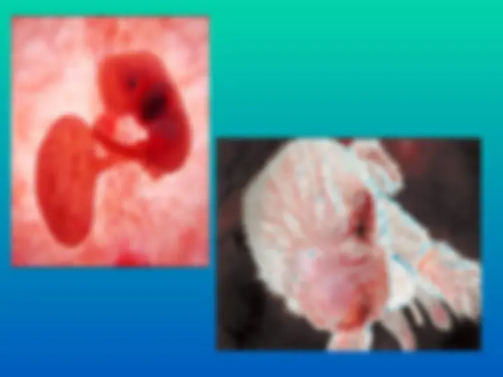 pf3