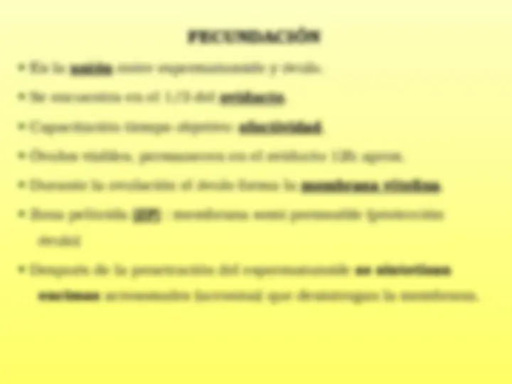 pf5