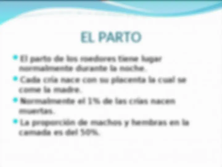 pfe