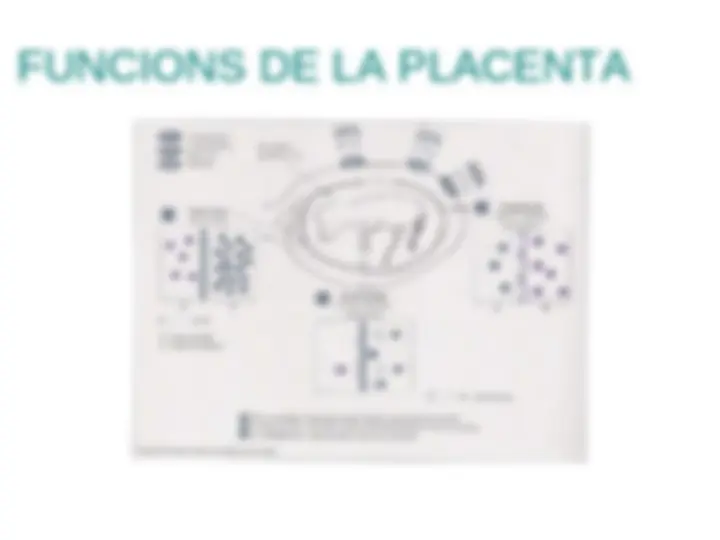 pfe