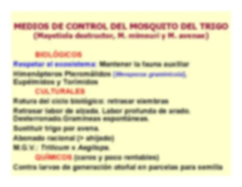 pf5