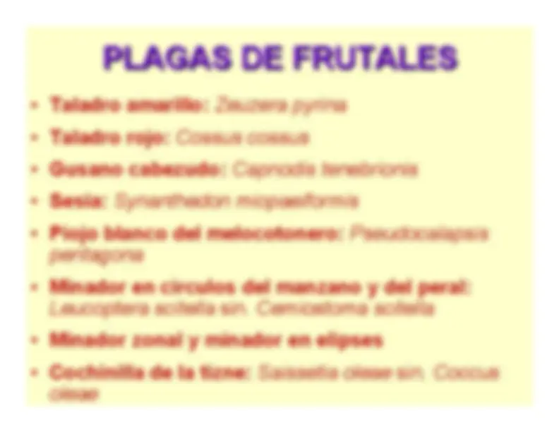 pf16