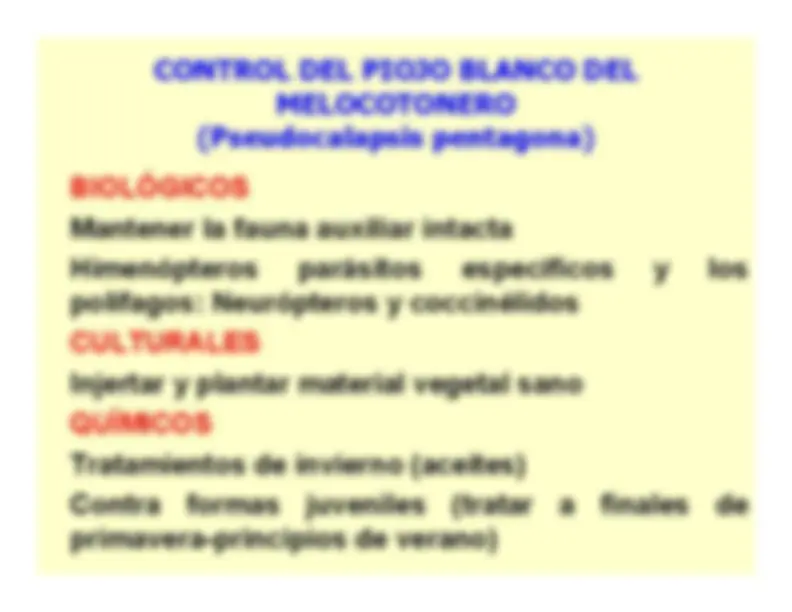 pf1b