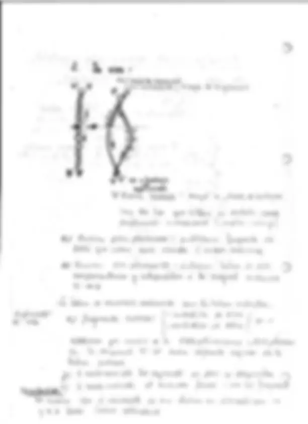 pf31