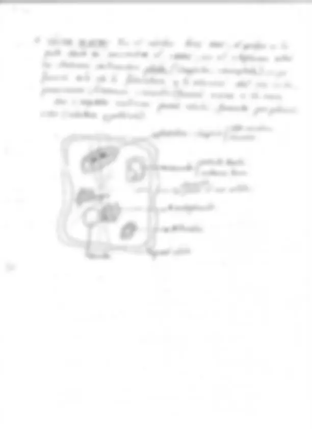 pf3