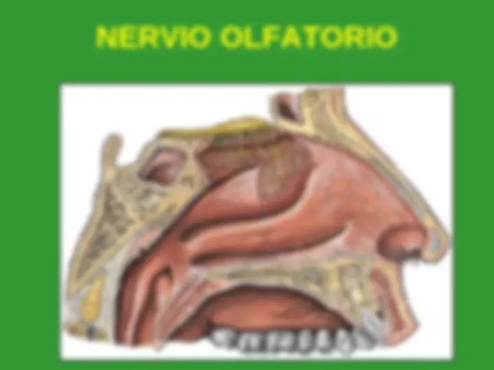 pf5