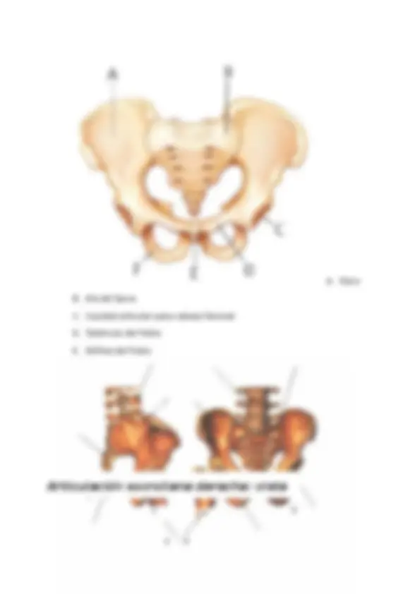 pf44