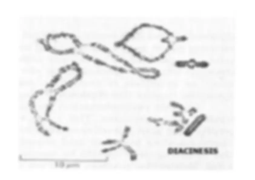 pf43