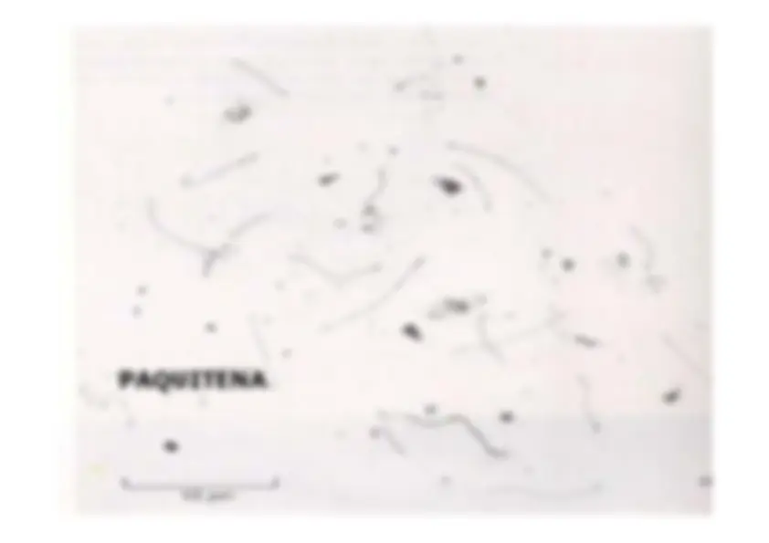 pf3f