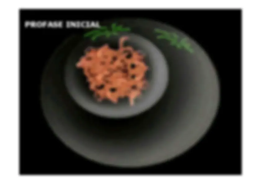 pf19