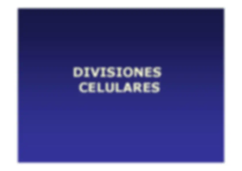 pfe
