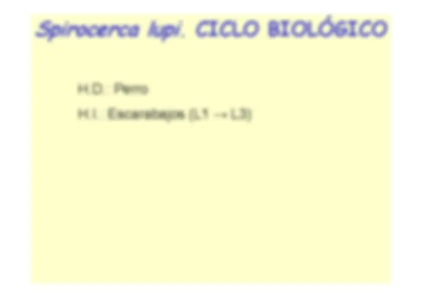 pf34