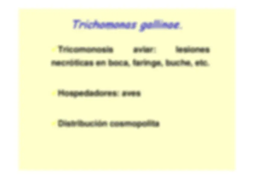pf25