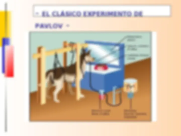 pf16
