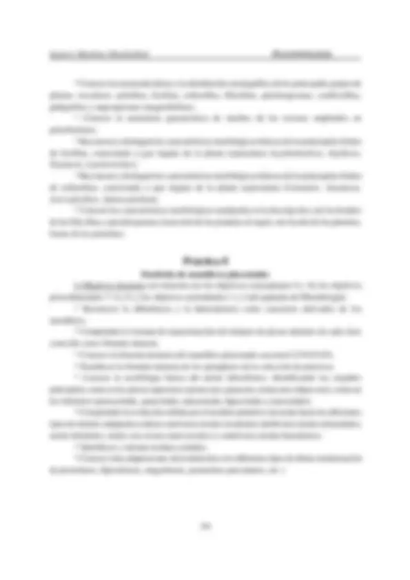 pf3b