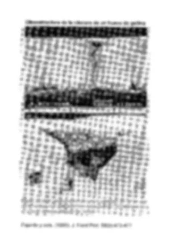 pf3