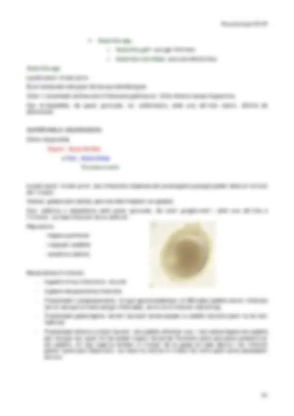 pf5f