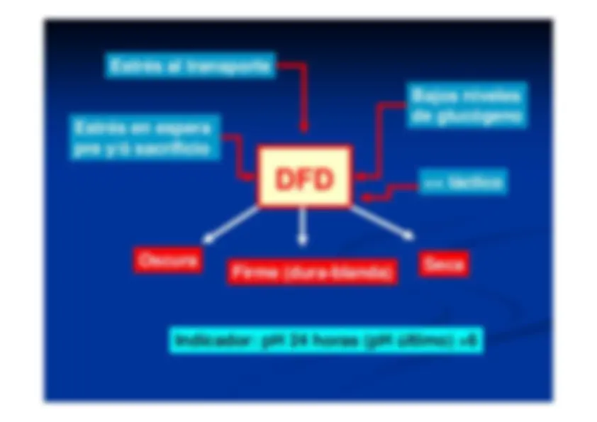 pf47
