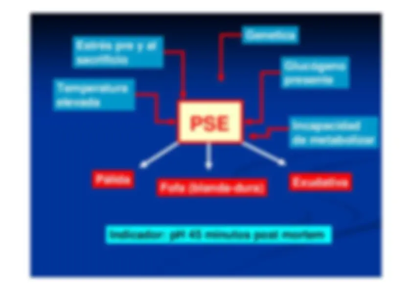 pf4a