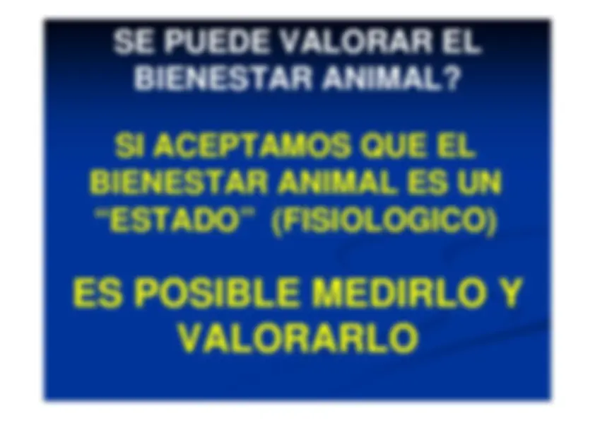 pf13