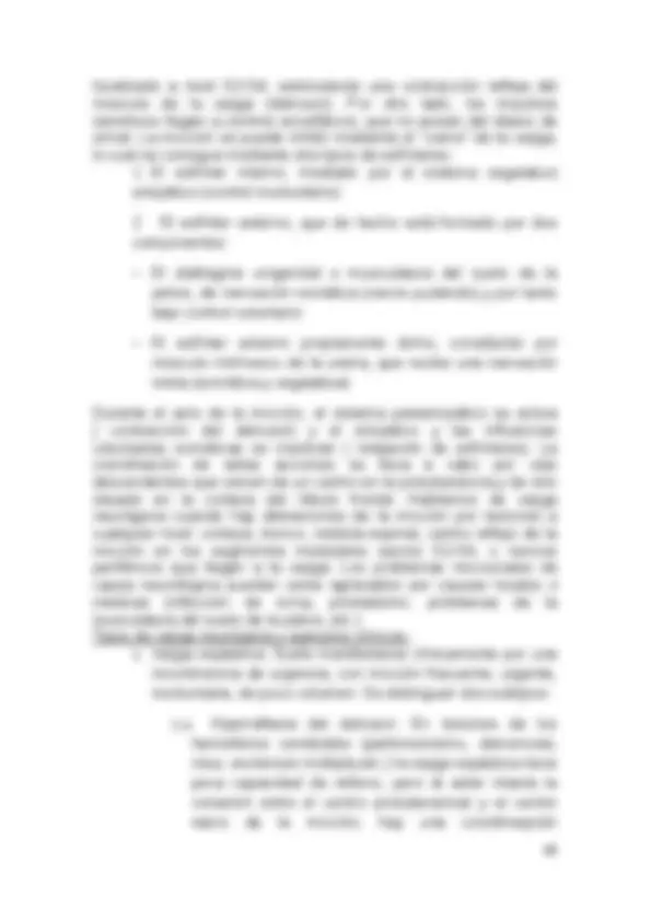 pf1c