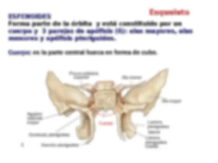 pf37