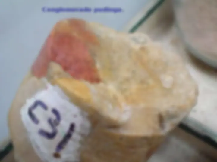 pf26