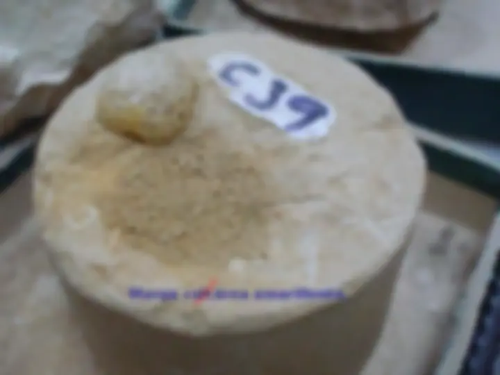pf2f
